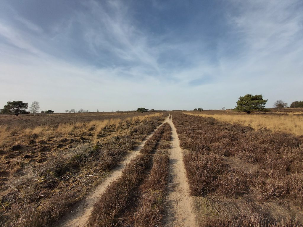 Wandelroute Romeins Marskamp, Ermelosche heide op de Veluwe