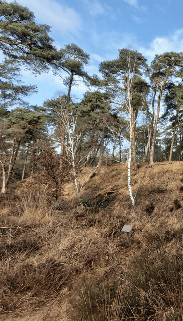 Kroondomeinen Het Loo Veluwe Aardhuispark