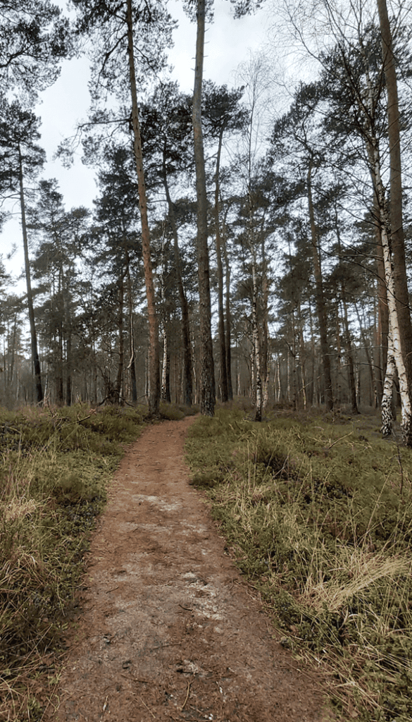 Kroondomeinen Het Loo Veluwe Aardhuispark