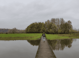 wandelen blauwe kamer vogels wageningen