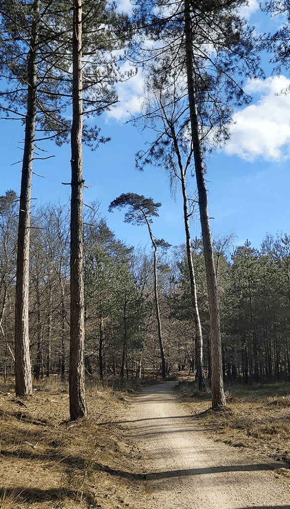 Wandelroute Kroondomein Het Loo Aardhuispark wandelingen Veluwe