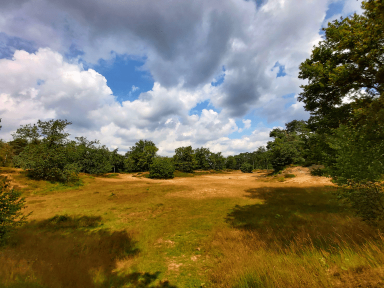 Wandelen Den Treek en prachtig uitzicht