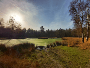 Renderklippen wandelen mooie wandeling Veluwe