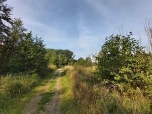 Zeewolde wandelen, Hulkesteinse bos Flevoland Zuiderzee