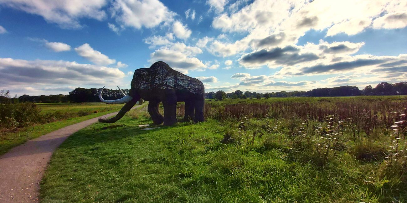 Mammoetpad Drenthe, wandelen Borger kinderen OERmuseum