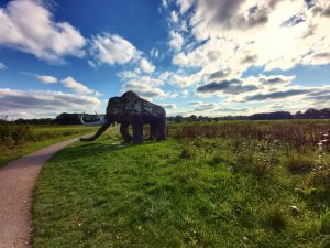 Mammoetpad Drenthe, wandelen Borger kinderen OERmuseum