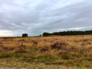 Hoge Veluwe en Nationaal Park de Hoge Veluwe wandelen