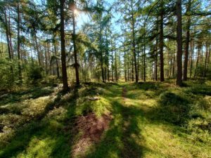 Zwerfkeienroute Loenermark wandelen schapenkooi