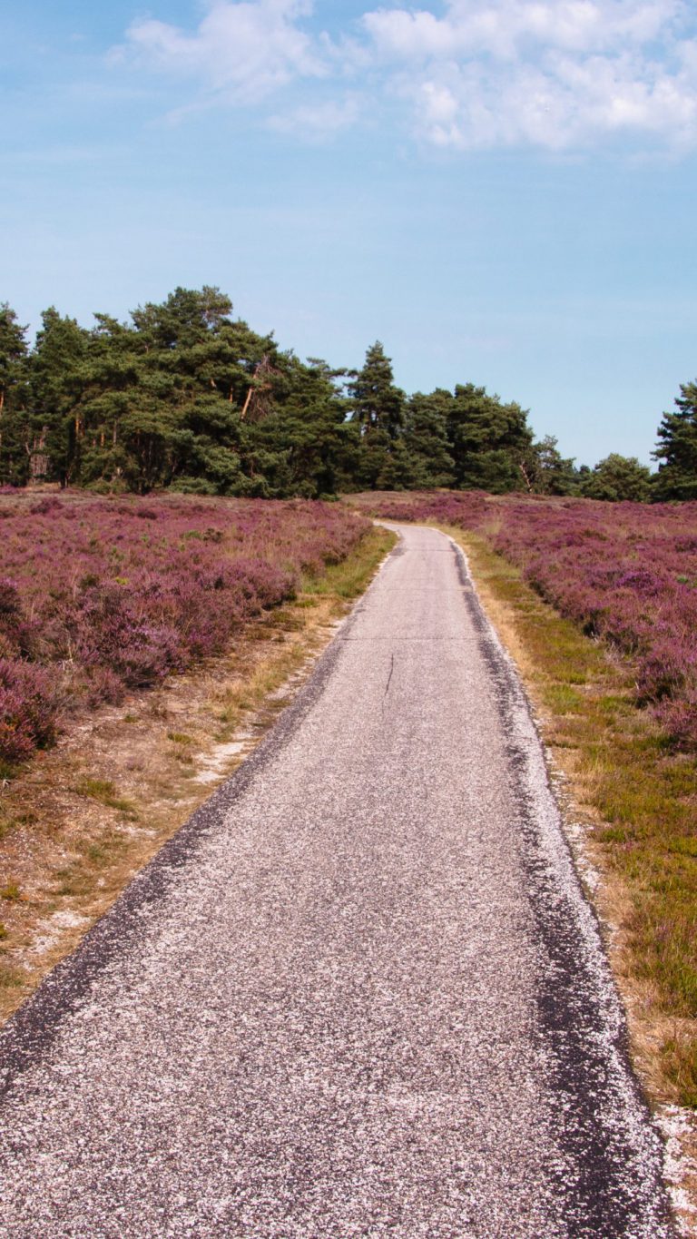 Wandelroutes en wandelen Hoge Veluwe en fietsen over het Nationaal Park