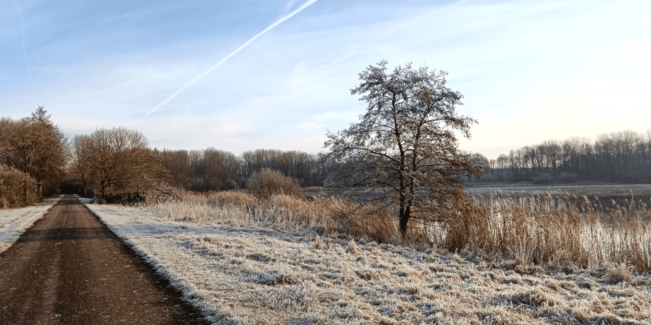 wandeling Natuurpark Lelystad