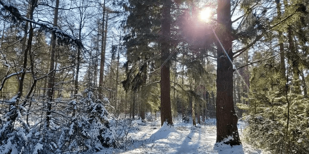 Wandelen winter december wandeling