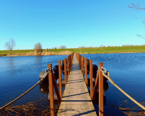 Wandelen lente mei wandelingen kinderen vogels kijken