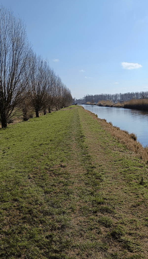 Linielanding Nieuwe Hollandse Waterlinie Verdronken Bos