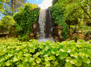 Wandelen Kasteel Arcen waterval rozentuin ANWB