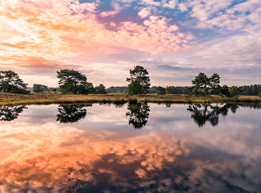 wandelen hoge veluwe paaltjesroute