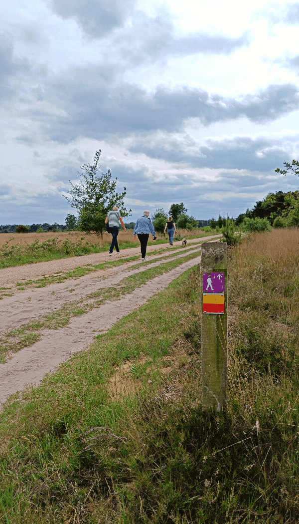 Strabrechtse Heide wandelen Brabant
