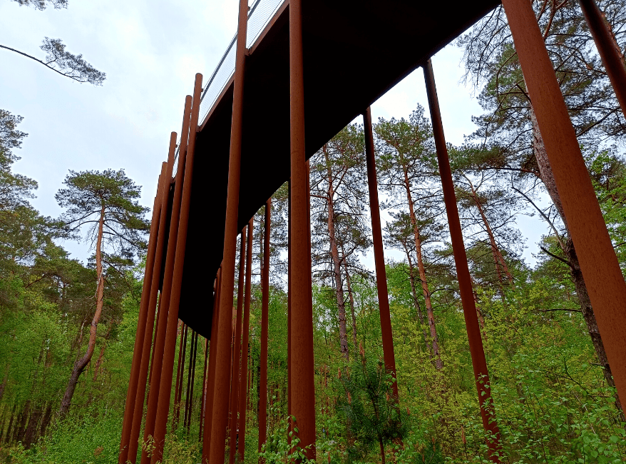 Hiken Belgie Fietsen door de Bomen