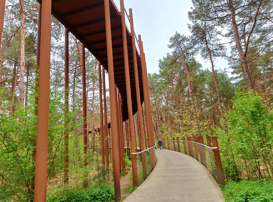 Hiken Belgie Fietsen door de Bomen