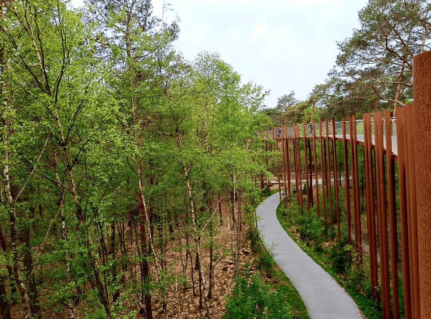 Hiken Belgie Fietsen door de Bomen