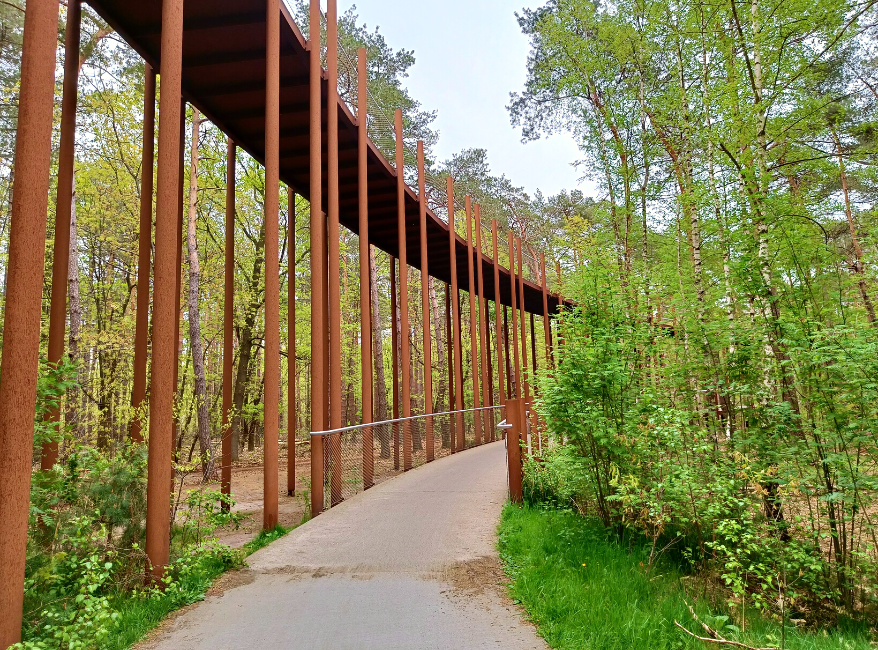 Hiken Belgie Fietsen door de Bomen