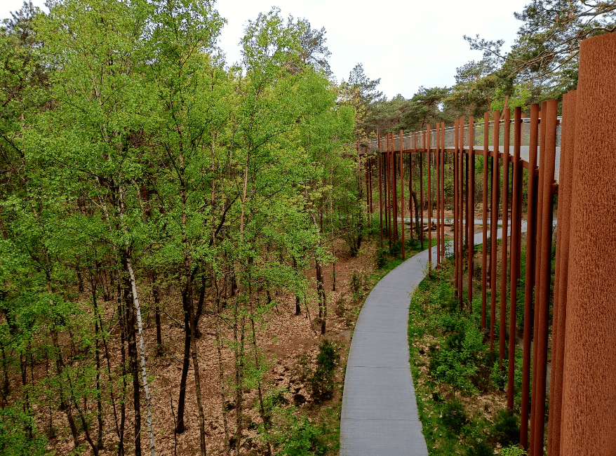 Hiken Belgie Fietsen door de Bomen