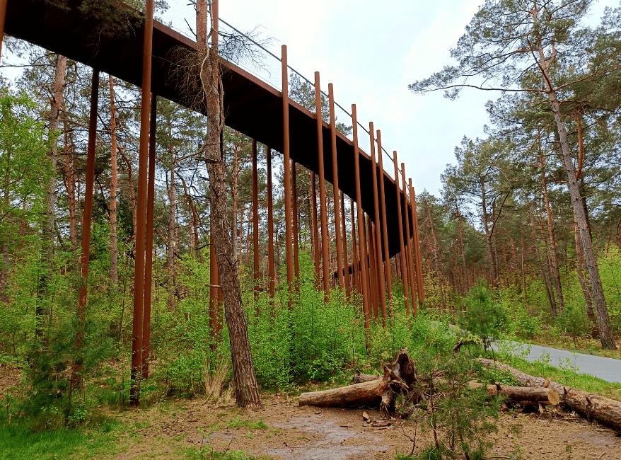 Hiken Belgie Fietsen door de Bomen