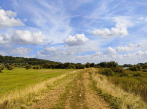 Wageningse Bovenpolder Wageningen