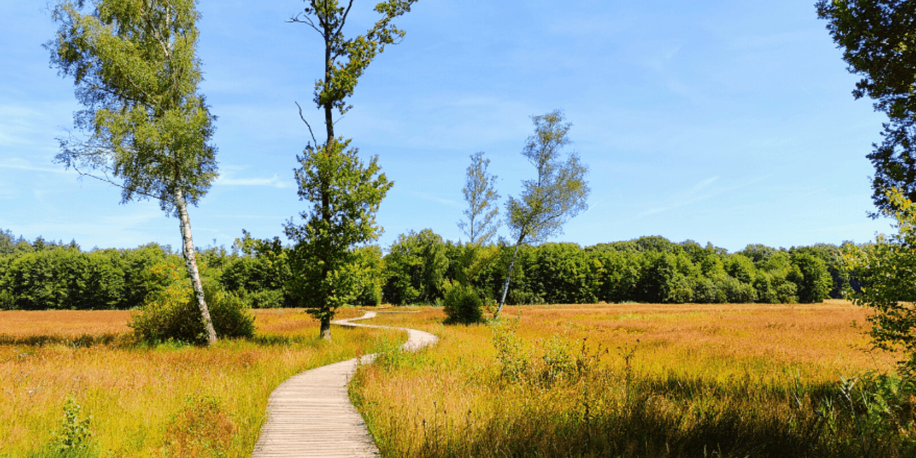 Landgoed Tongeren vlonderpad