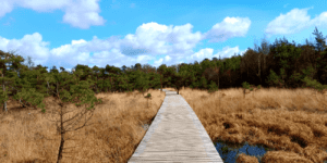 Wandelen voorjaarsvakantie met kinderen Landgoed Twickel