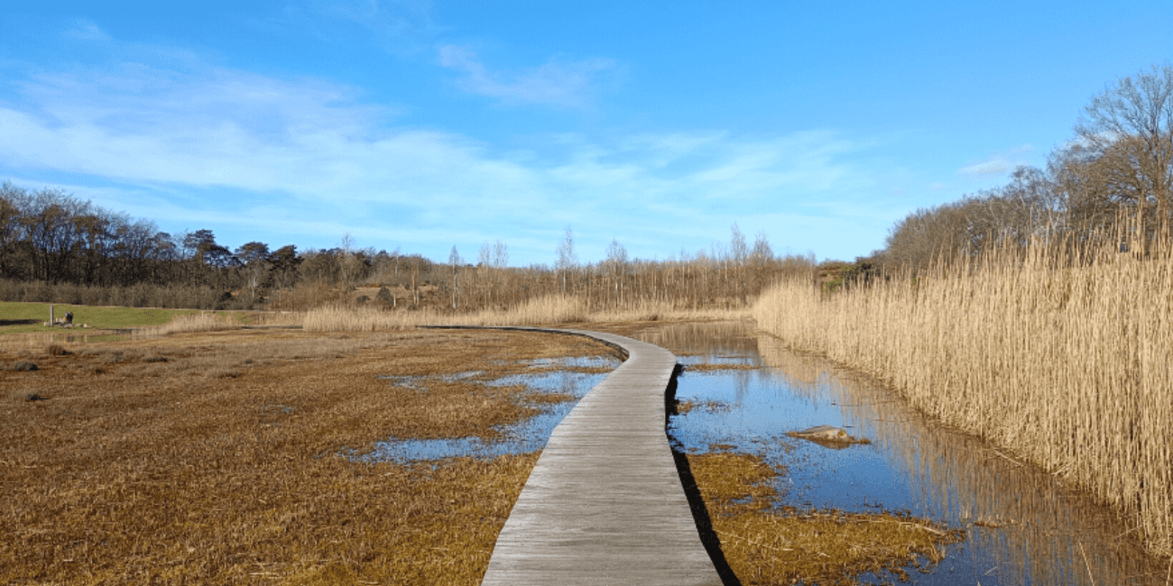 zanderij crailo vlonderpad