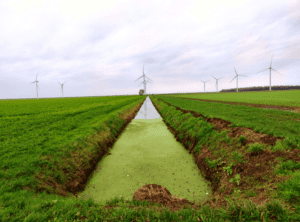 Wandelen Flevoland Scheepswrakkenroute windturbines windmolens