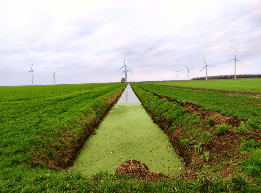Wandelen Flevoland Scheepswrakkenroute windturbines windmolens