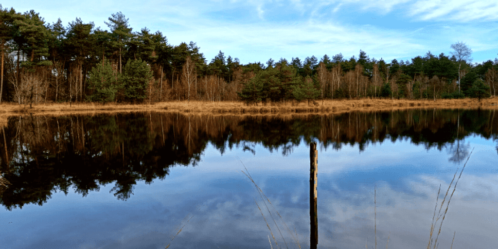 meivakantie wandelen