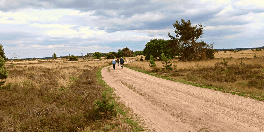 NS-wandelingen wandelen station trein Strabrechtse Heide
