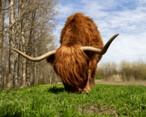 vaderdag cadeau wandelen natuur activiteiten