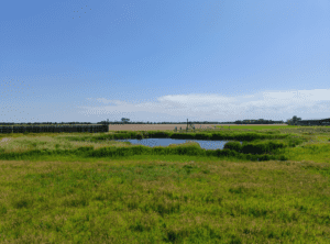 Schokland wandelen Vluchthavenroute Bezoekercentrum Gesteentetuin