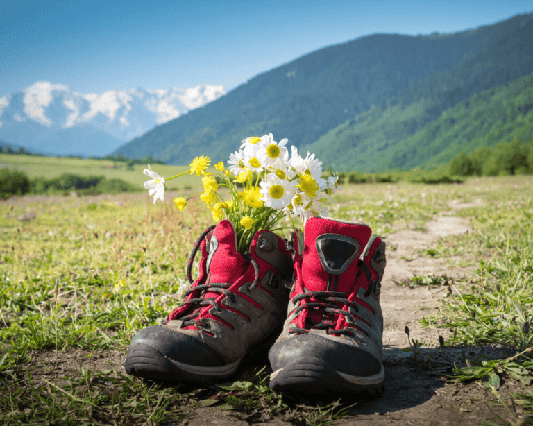 beste goedkope wandelschoenen dames