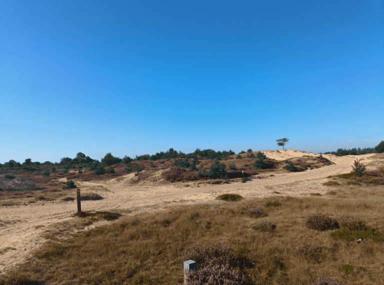 Drents Friese Wold wandelroute Grote Bos en Duin wandelroute