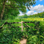 Wandelroute Groene Wissel Amersfoort Vathorst