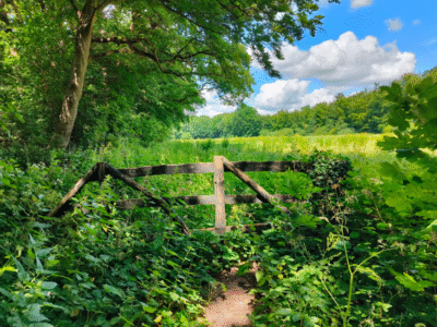 Wandelroute Groene Wissel Amersfoort Vathorst
