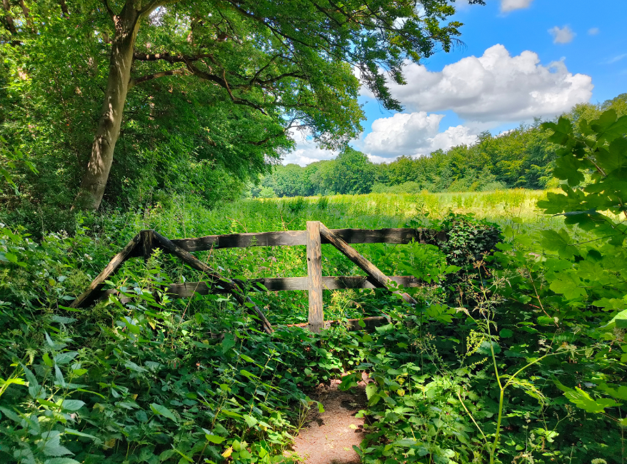 Wandelroute Groene Wissel Amersfoort Vathorst